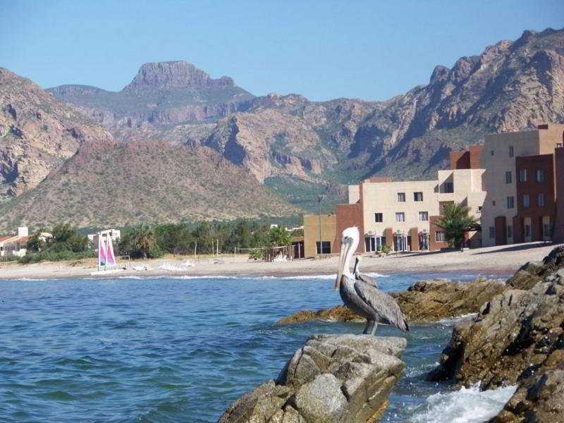 Hotel Paradiso Resort Guaymas Zewnętrze zdjęcie